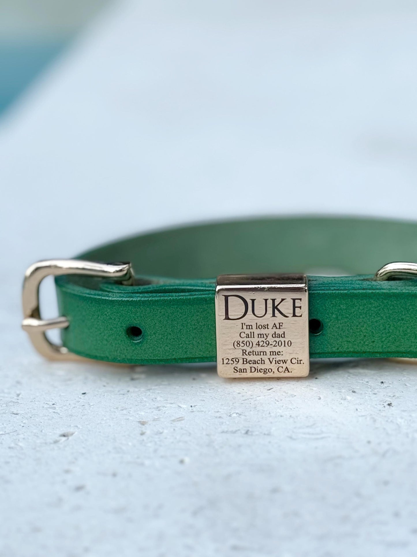 Green Leather Dog Collar, Personalized Pet Collar, Brass Plate Collar for Dogs, Custom Collar, Engraved Collar, Personalized Collar for Dogs