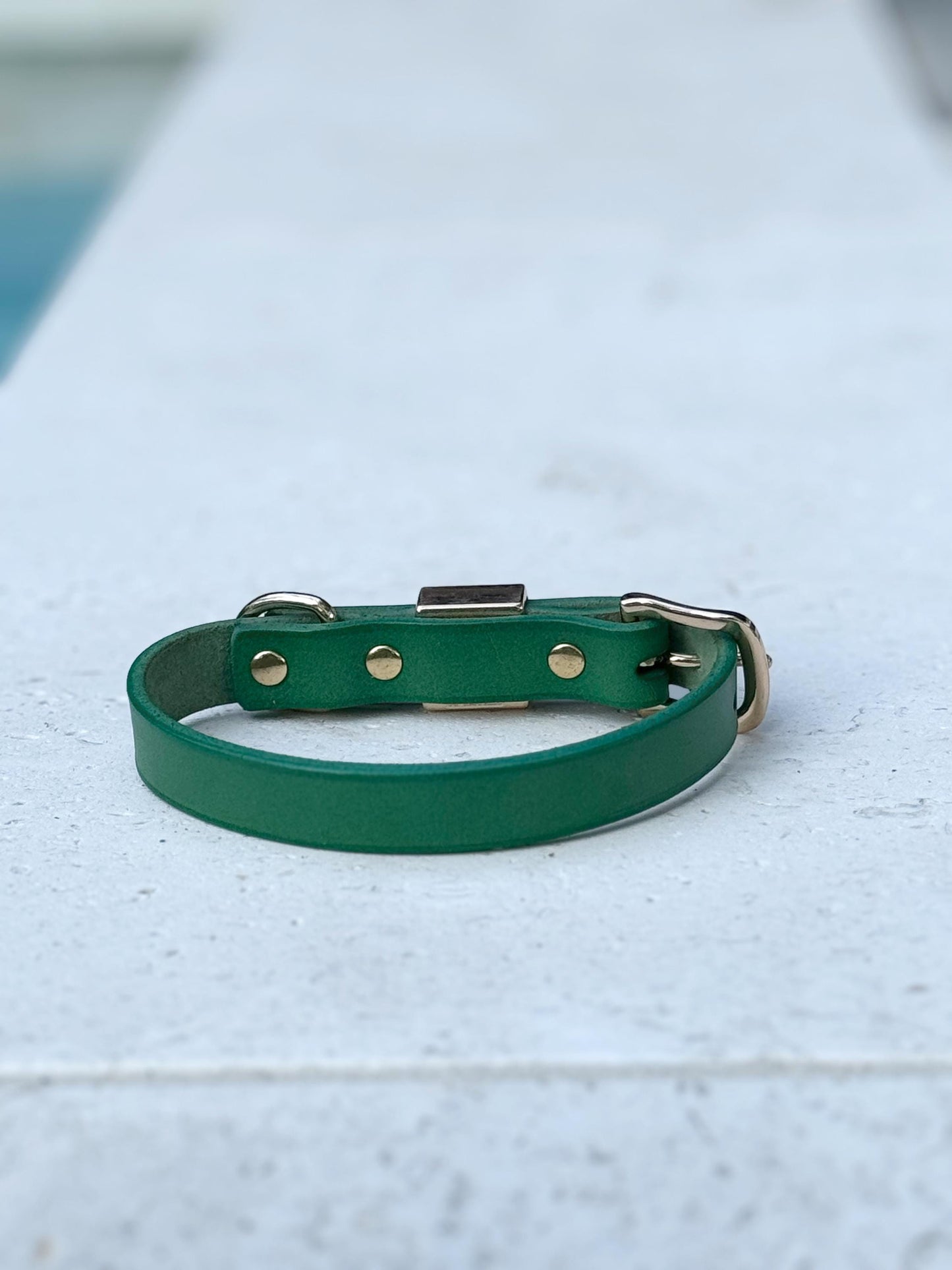 Green Leather Dog Collar, Personalized Pet Collar, Brass Plate Collar for Dogs, Custom Collar, Engraved Collar, Personalized Collar for Dogs