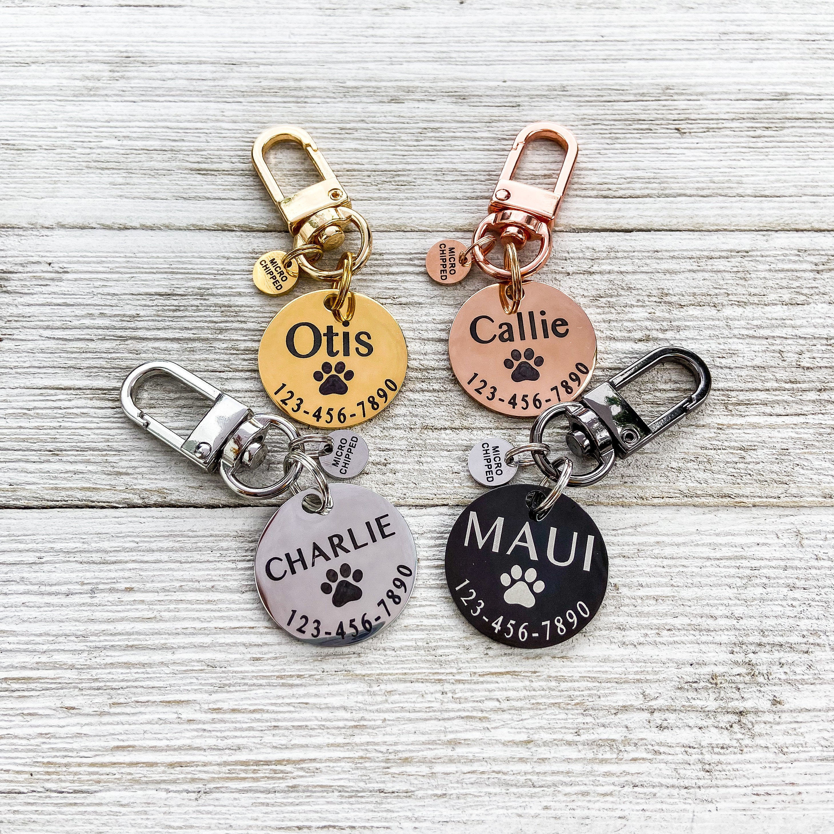 Microchipped dog outlet tag